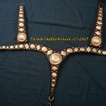 BohlinBreastcollar