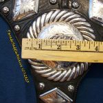 BohlinBreastcollar