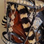 Bruce Lovins Parade Saddle Set